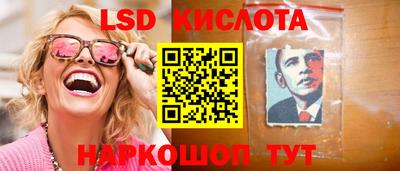 ПСИЛОЦИБИНОВЫЕ ГРИБЫ Краснодар
