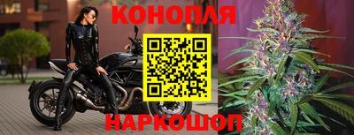 соль ск Краснознаменск