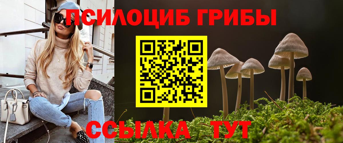 Калининград  Псилоцибиновые грибы Magic Shrooms  цена наркотик  Вход с VPN 